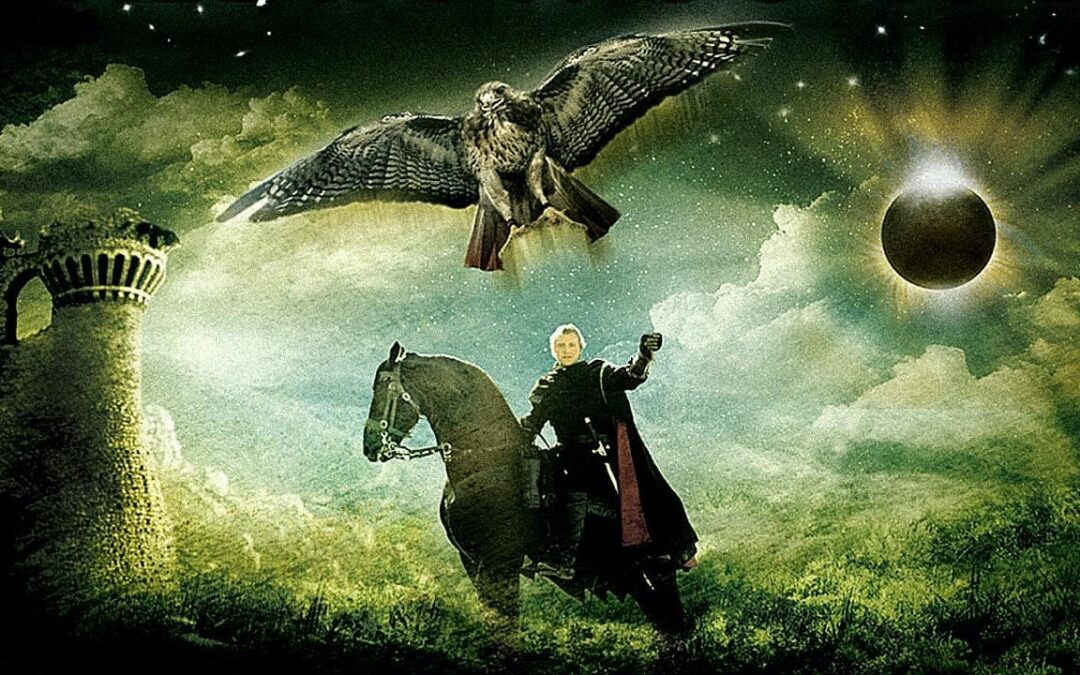 Ladyhawke - Libri fantasy con storie d'amore - lauraschellino.it